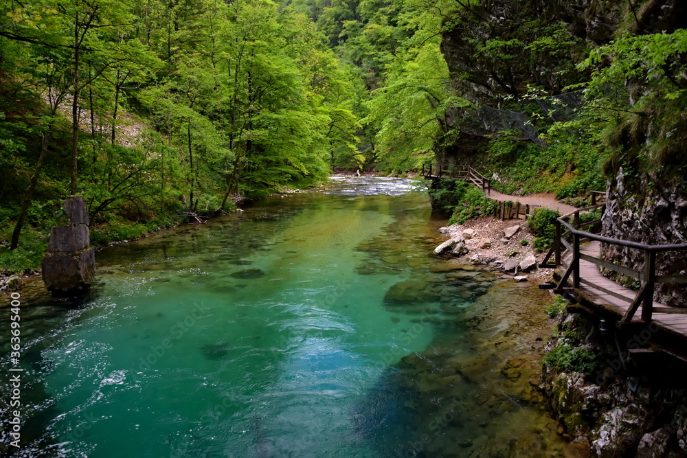 Fototapeta premium Blue river in Julian Alps
