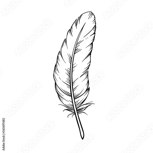 Hand drawn feathers