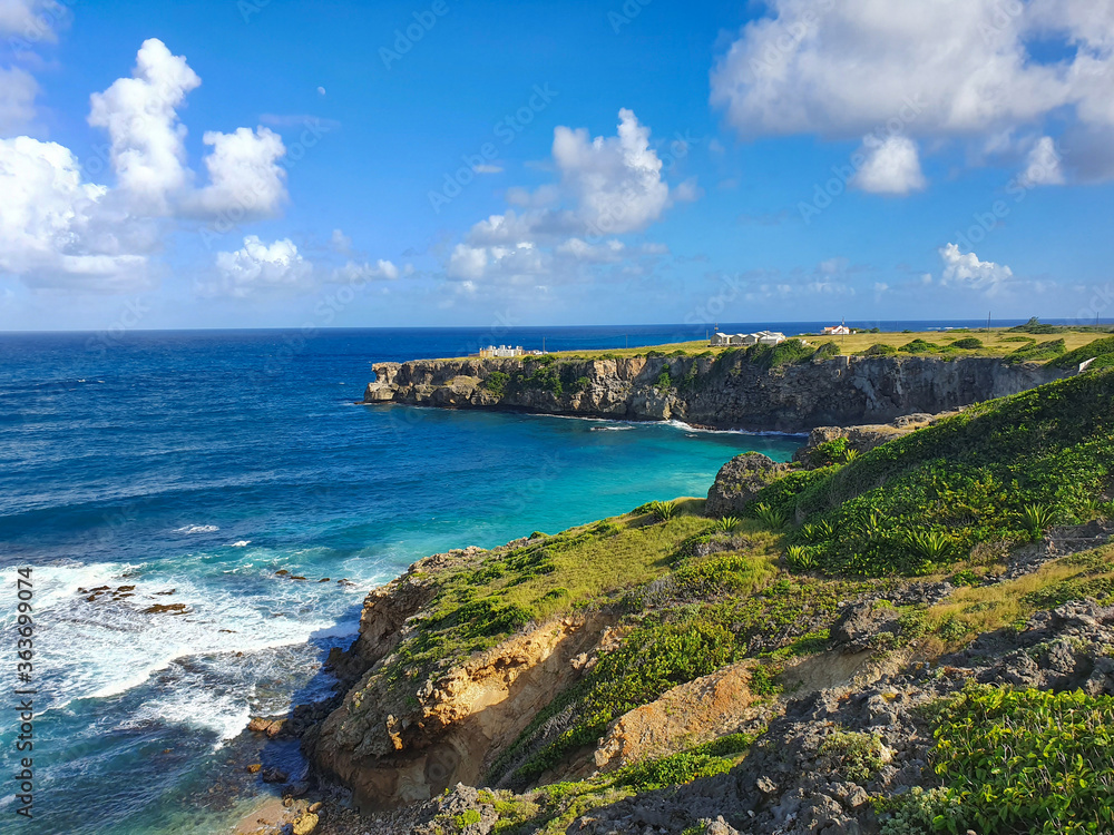 AERIAL: Flying over the lush green cliffs on the coast of Barbados on sunny day.