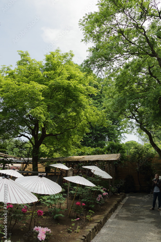 上野2015 上野2015