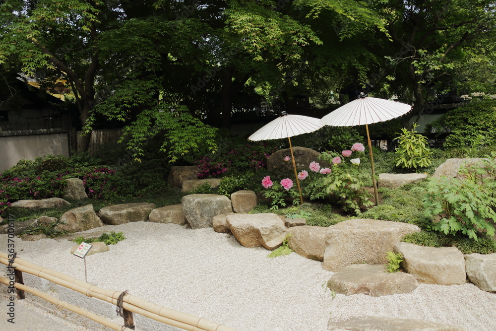 上野2015 上野2015