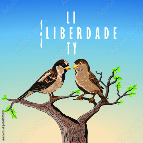 Pássaros/ Birds - Liberdade photo