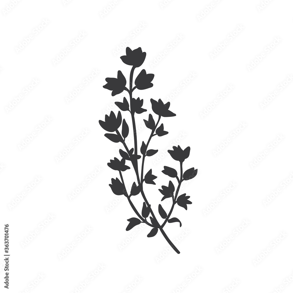 Fototapeta premium Thyme silhouette icon.