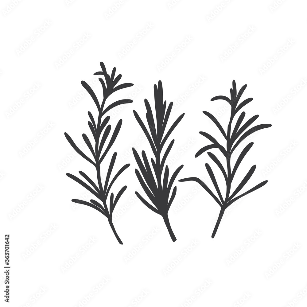 Naklejka premium Ikona sylwetka rozmarynu