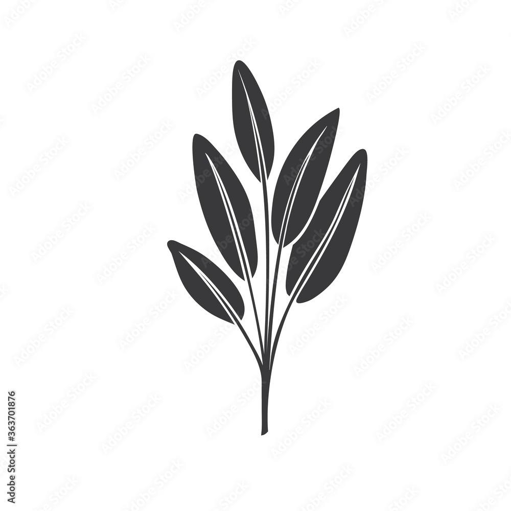 Sage glyph icon Sage glyph icon