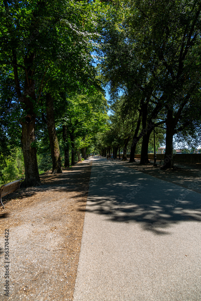 Stadtmauer und Stadttore von Lucca Stadttore mit Innen- und Aussenansicht zusätzlich Aufnahmen von der Stadtmauer in die Stadt fotografiert Stadtmauer und Stadttore von Lucca Stadttore mit Innen- und Aussenansicht zusätzlich Aufnahmen von der Stadtmauer in die Stadt fotografiert