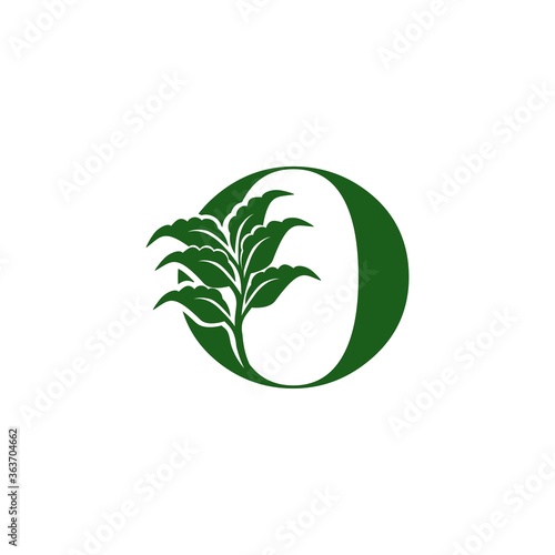 Green Letter O logo with leaf element  vector design ecology concept