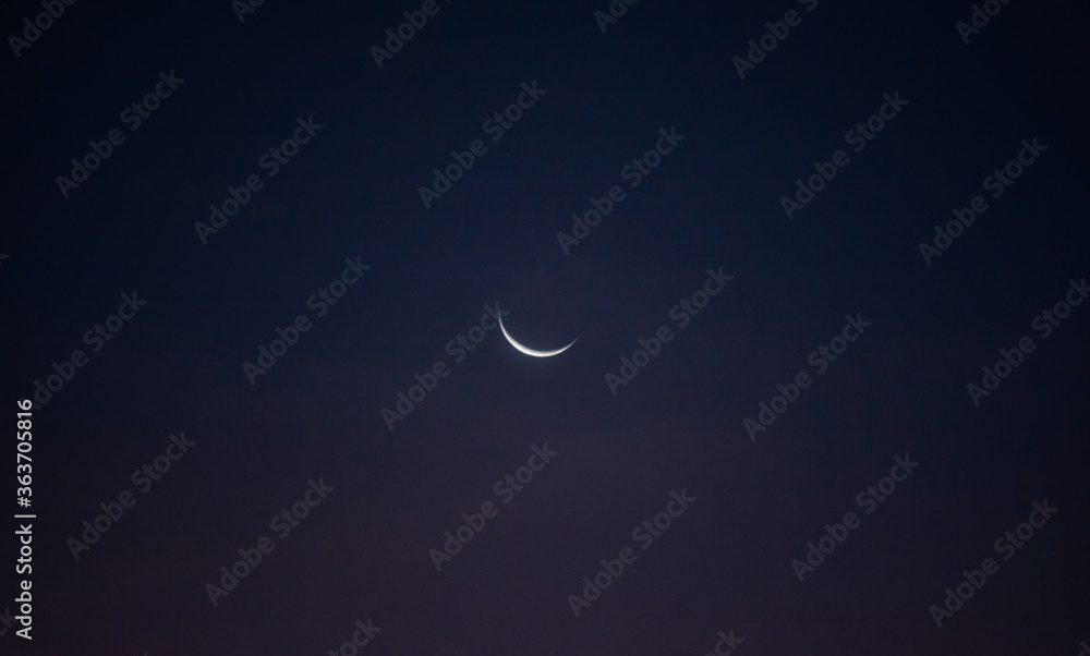 Fototapeta premium Moon