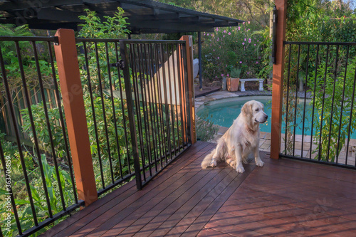 Home Pool Fence with gate open