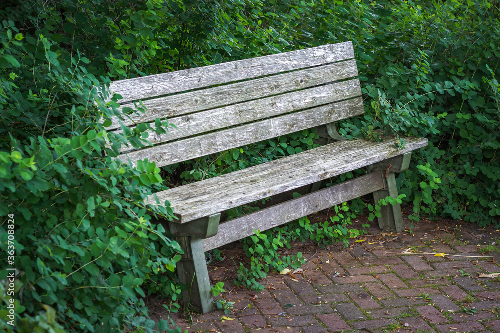 Isolated Bench Isolated Bench