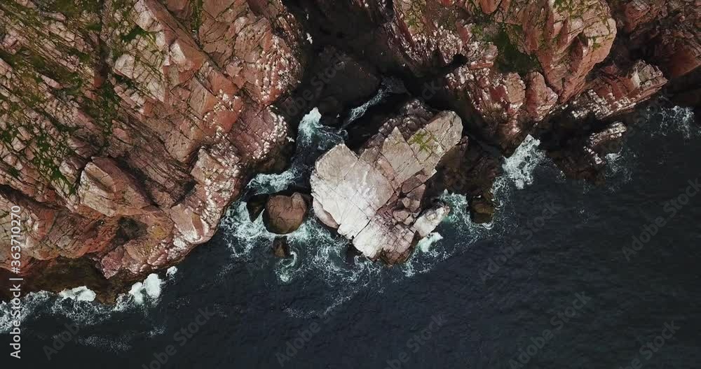 Flock of seagulls, Aerial view of Barents Sea coastline , Teriberka, Kolsky District, Murmansk region, Russia