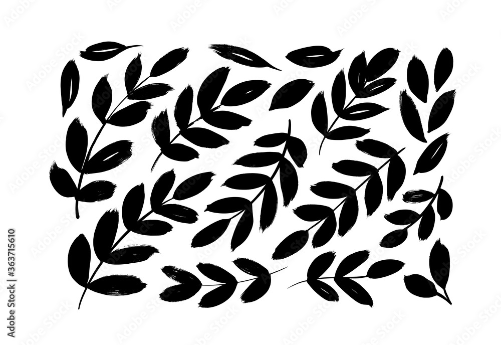 brush-branches-with-long-leaves-vector-collection-set-of-black