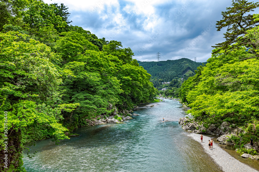 【東京都 多摩川】上流の自然に囲まれた河川