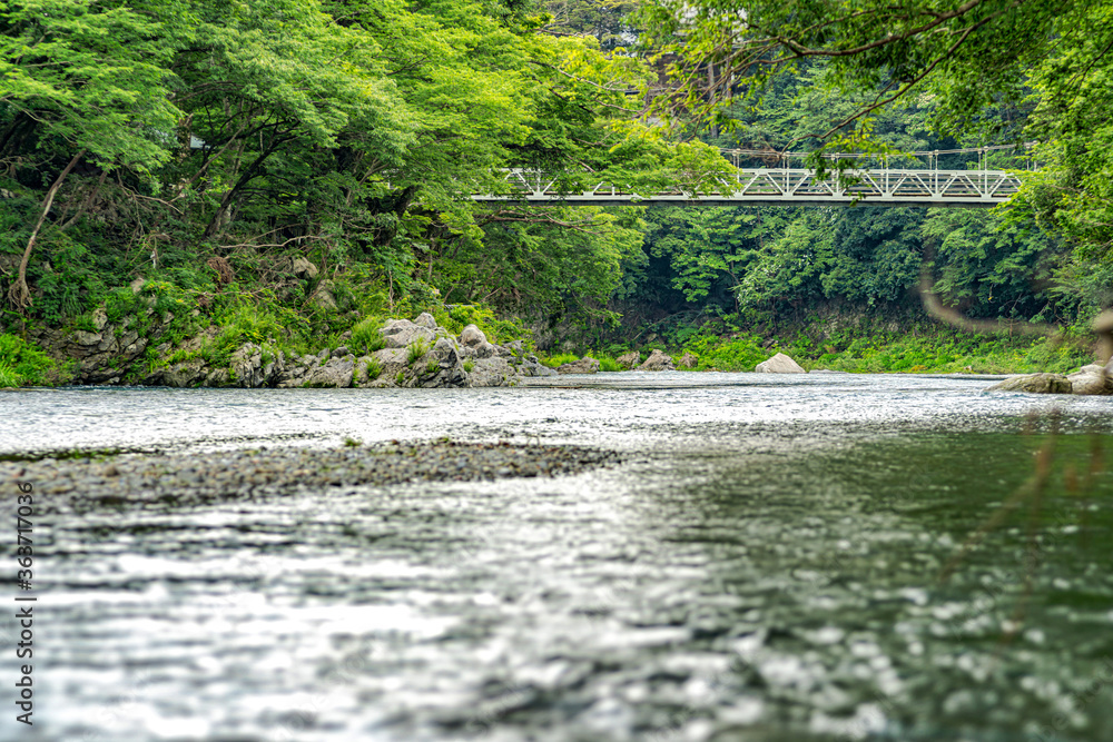 【東京都 多摩川】上流の自然に囲まれた河川 【東京都 多摩川】上流の自然に囲まれた河川