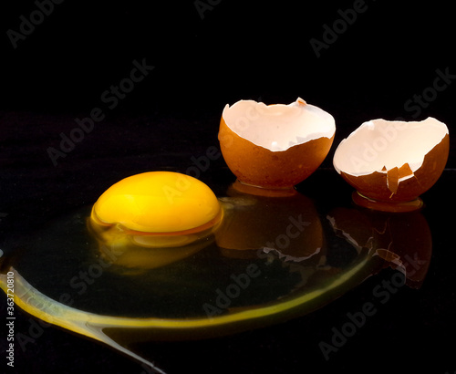 macro photo of eggs photo