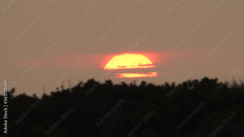 sunset view through the forest. cinematic sunset 4k sunset view through the forest. cinematic sunset 4k