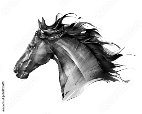 sztuka widok z boku monochromatyczny na białym tle portret zwierzęcy koń