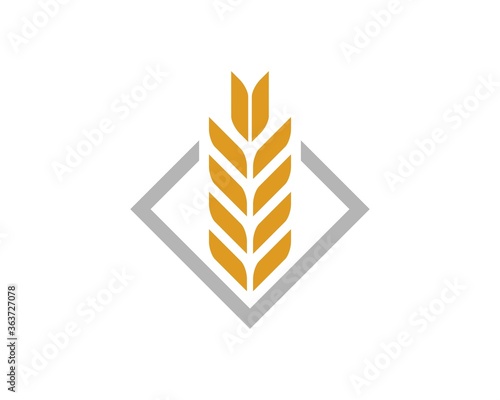 Square shape with gold wheat inside