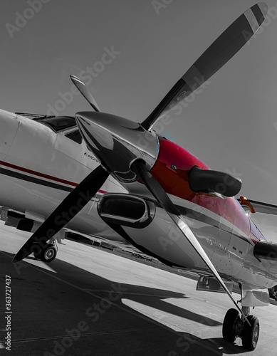 Cuadro en lienzo King Air 350