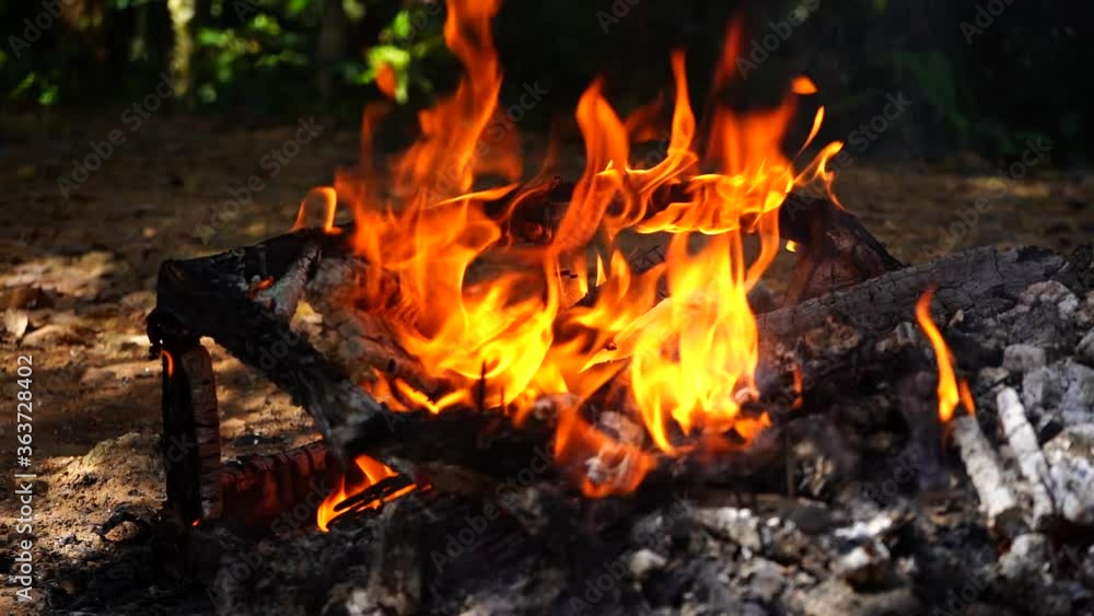 Burning fire Bonfire on black background Burning fire Bonfire on black background