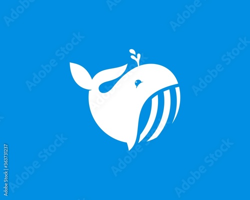 White whale with water splash