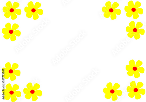 many yellow little flower isolated on white background with empty copy space in middle