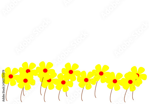 many yellow little flower on bottom  isolated on white background with empty copy space