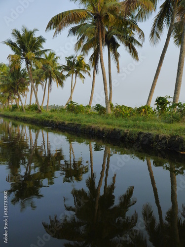 Backwaters, Kerala,Inde