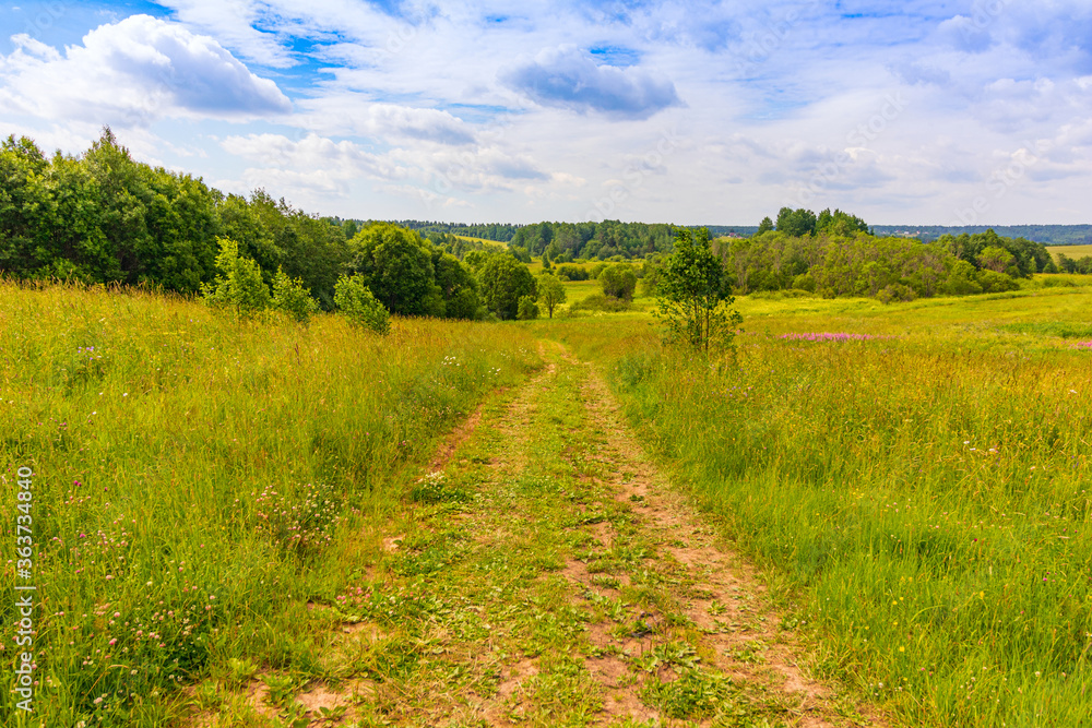 Obraz premium road through the field