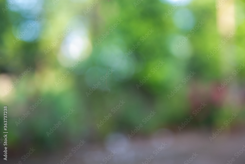 Obraz premium Blurred focus. Blurred abstract background and blurred nature background.