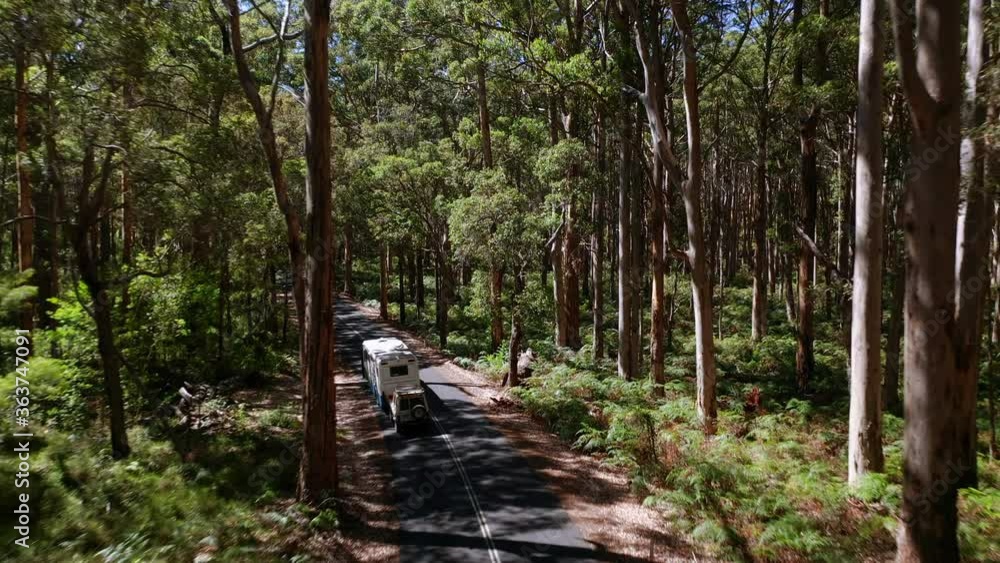 A caravan and jeep are traveling down a forest road in Australia. Aerial dolly shot A caravan and jeep are traveling down a forest road in Australia. Aerial dolly shot