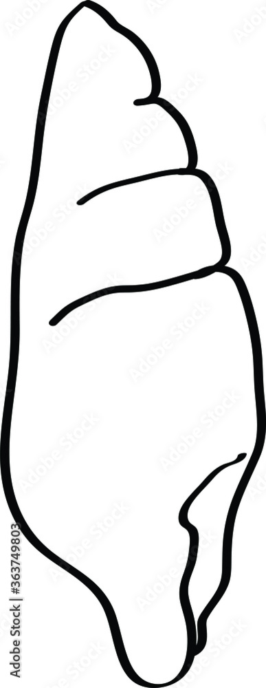 simple line vector art of marine seashell simple line vector art of marine seashell
