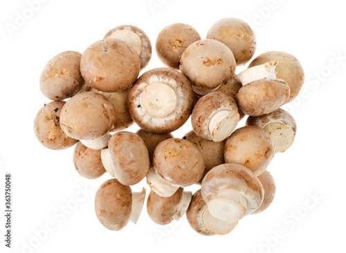 Pile of brown royal champignons on white background