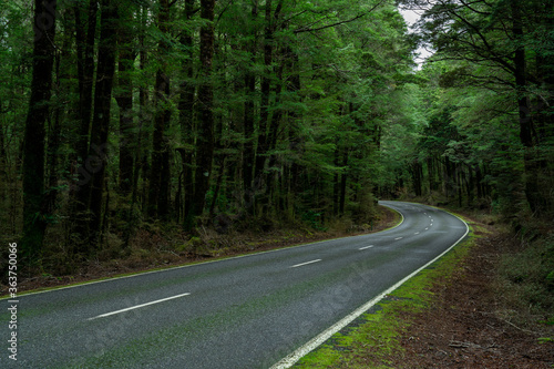 Open Highway Road in future  no cars  auto on asphalt road through green forest  trees  pines  spruces.