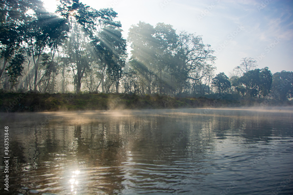 misty morning on the river