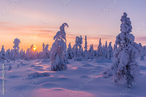 Winter scene. colorful sunset over snow covered trees in an idyllic mountain landscape.