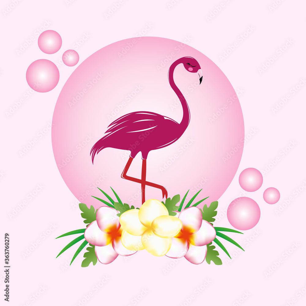 Fototapeta premium Жемчужный фламинго