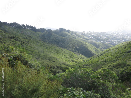 mountain landscape in the mountains