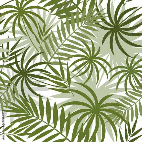 pattern with tropical leaves of monstera, palm and bamboo green on a white background, color vector illustration, design, decoration, print, texture, banner