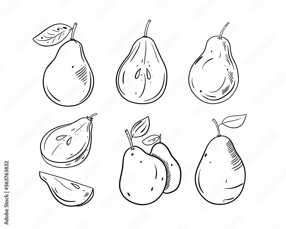 Obraz Different Pear set. Black color outline style vector illustration. Isolated on white background.