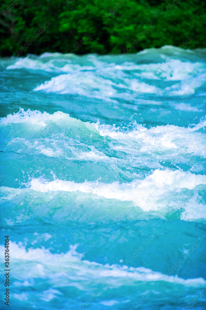 Obraz premium どこえ