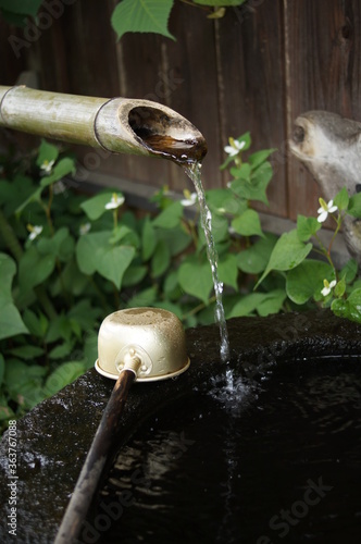 Japanese garden water bowl and ladle