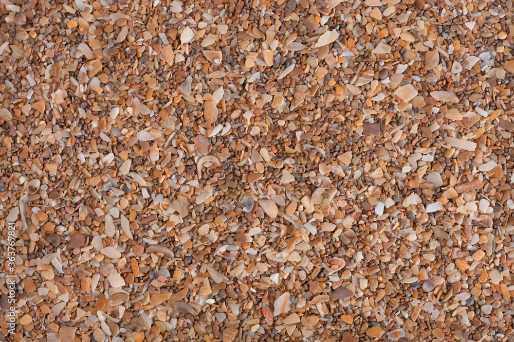 Background of sea crushed seashell very close-up, a concept for the beach or a feed additive for birds. Background of sea crushed seashell very close-up, a concept for the beach or a feed additive for birds.