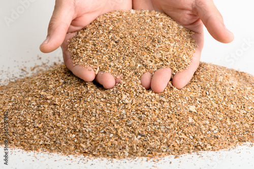 Crushed seashell spills out of the palms of a person, a concept of a feed additive for birds. Close-up, neutral background.