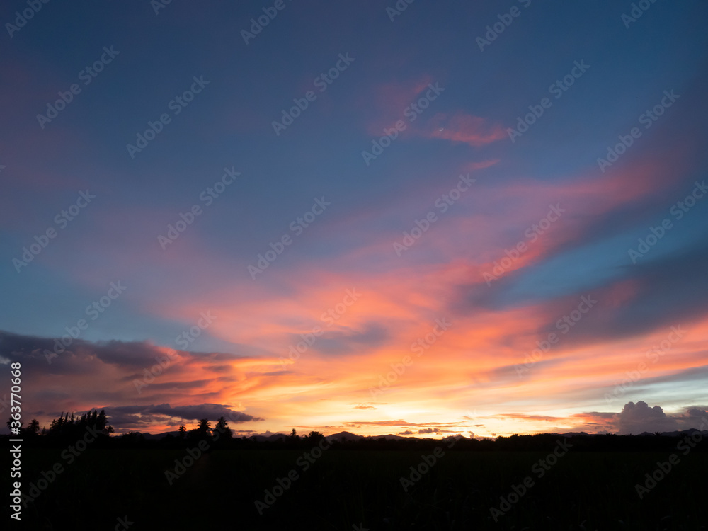 Cloud and blue sky in magic hour at sunset, The horizon began to turn orange with purple and pink cloud at night, Dramatic cloudscape area with Silhouette of tree