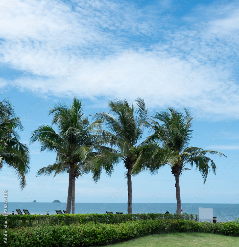 Coconut palm trees on the beach with sea smooth and white cloud on beautiful blue sky , Fluffy clouds formations at tropical zone , Holiday activities on the sand at Pranburi Beach , Thailand Coconut palm trees on the beach with sea smooth and white cloud on beautiful blue sky , Fluffy clouds formations at tropical zone , Holiday activities on the sand at Pranburi Beach , Thailand