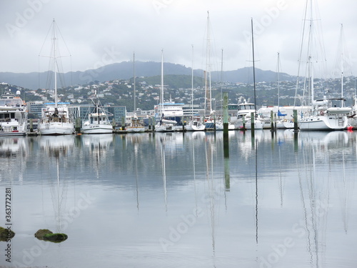 boats in the harbor