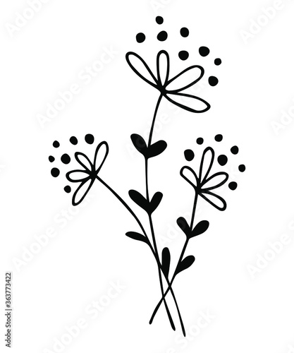 Botanical summer and spring flowers and leaves. Black and white illustration. Vector.