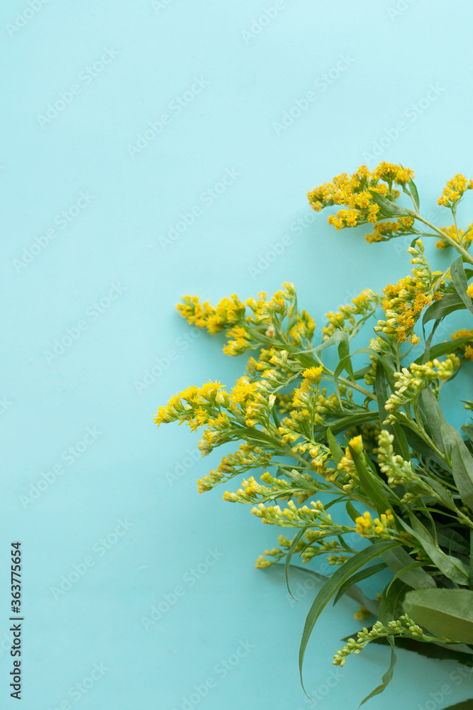 Bouquet of yellow wildflowers on a green light vertical background.