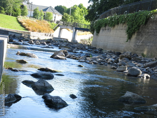 river in the park